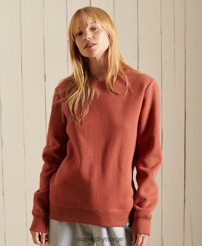 Superdry brun klær 86P46D3444 vintage sweatshirt med logobesetning kvinner