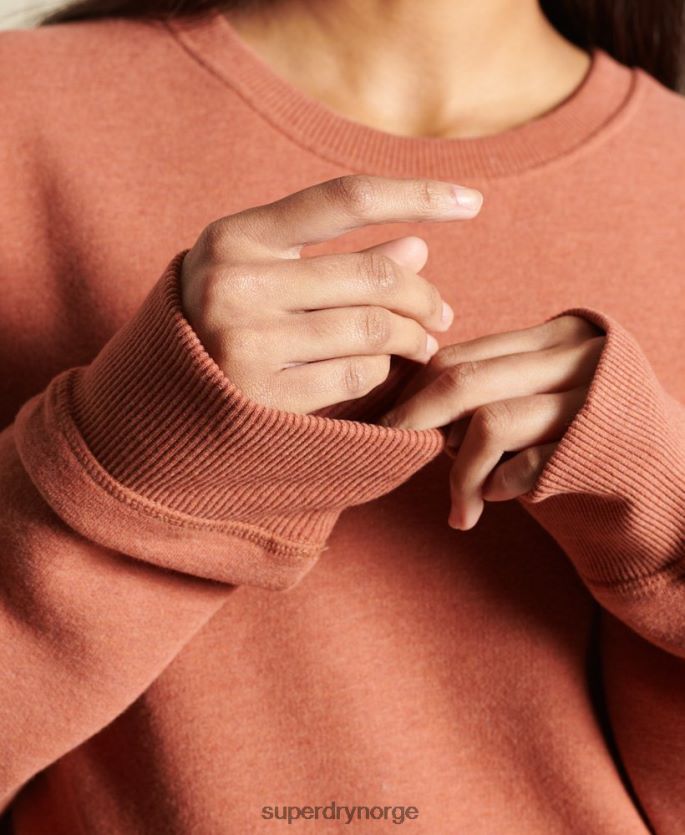 Superdry brun klær 86P46D6033 Oversized vintage-logogenser i økologisk bomull kvinner