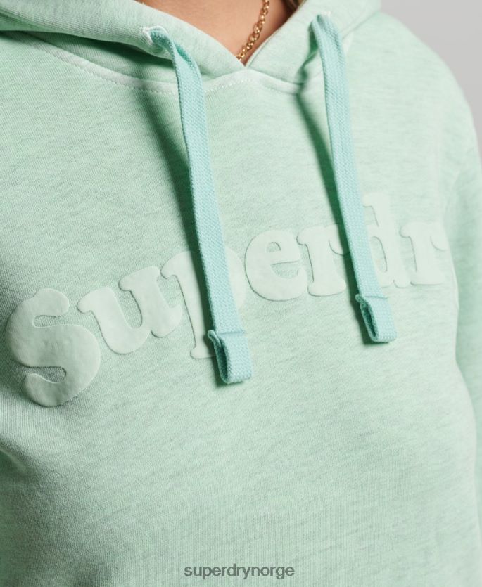 Superdry grønn klær 86P46D3273 cooper klassisk hettegenser kvinner