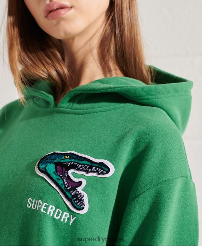 Superdry grønn klær 86P46D6052 moderne franchise oversized hettegenser kvinner