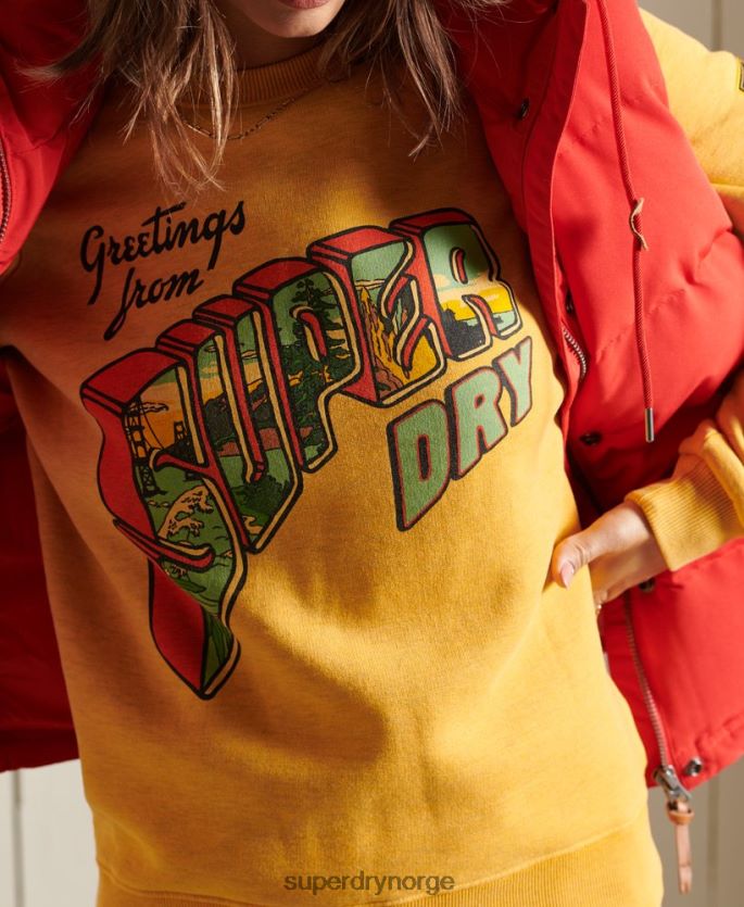 Superdry gull klær 86P46D3463 Heritage mountain crew sweatshirt kvinner