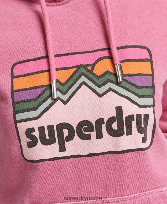 Superdry rosa klær 86P46D5749 90-talls terrenggrafisk hettegenser kvinner