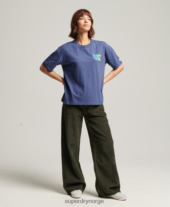 Superdry blå klær 86P46D6184 vintage cali stripe t-skjorte kvinner