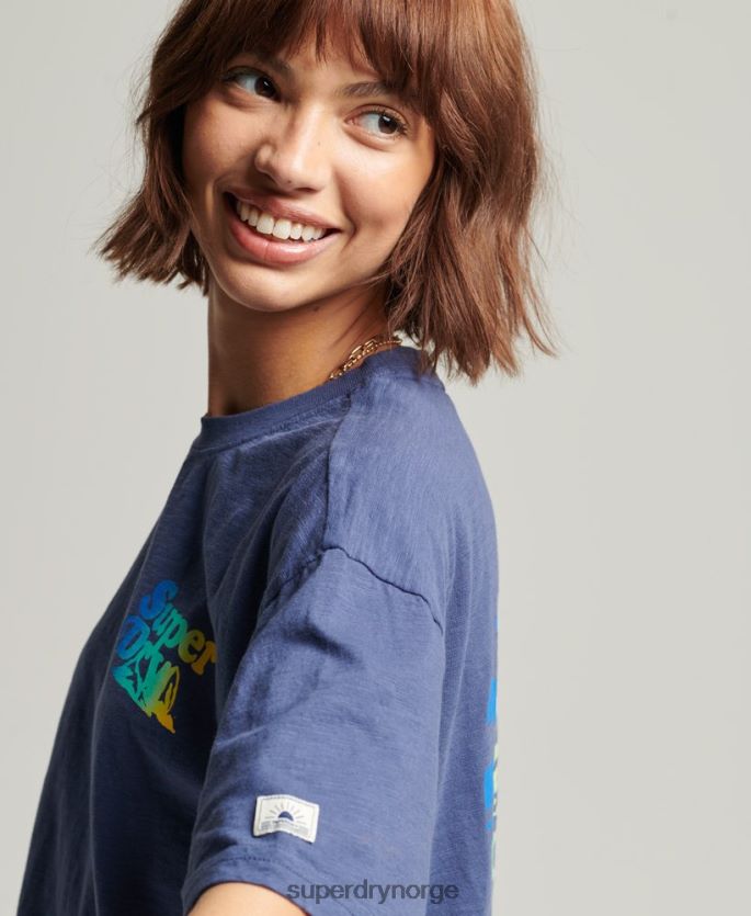 Superdry blå klær 86P46D6184 vintage cali stripe t-skjorte kvinner