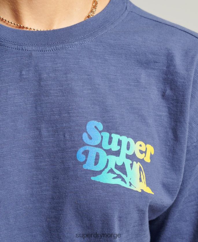 Superdry blå klær 86P46D6184 vintage cali stripe t-skjorte kvinner