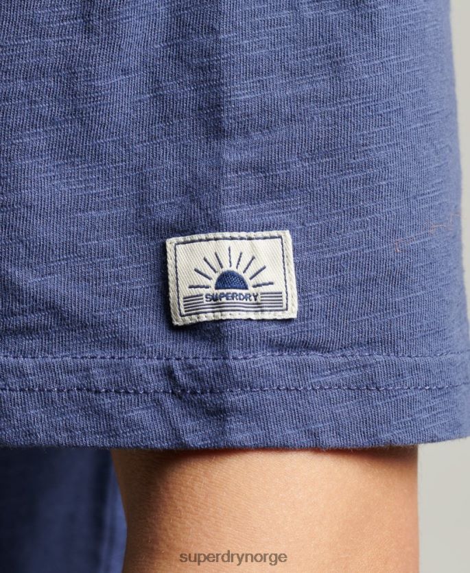Superdry blå klær 86P46D6184 vintage cali stripe t-skjorte kvinner