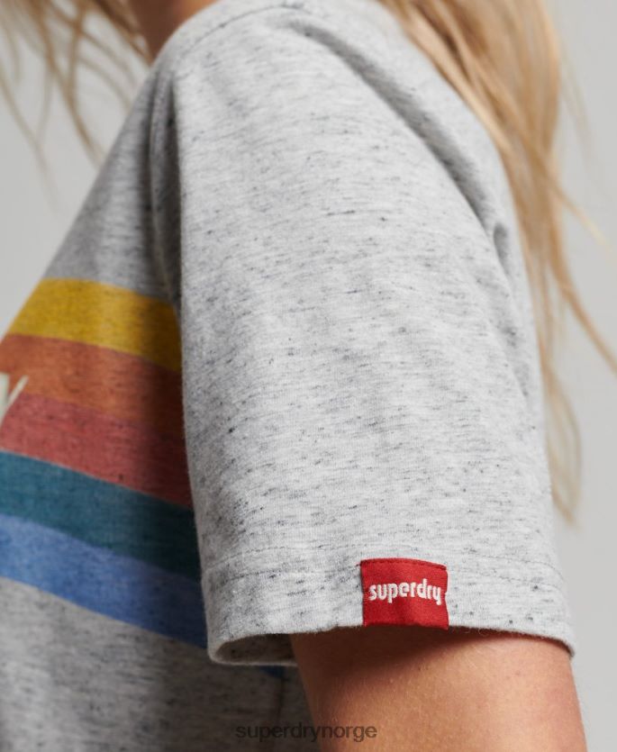 Superdry grå klær 86P46D2663 vintage flott utendørs t-skjorte kvinner