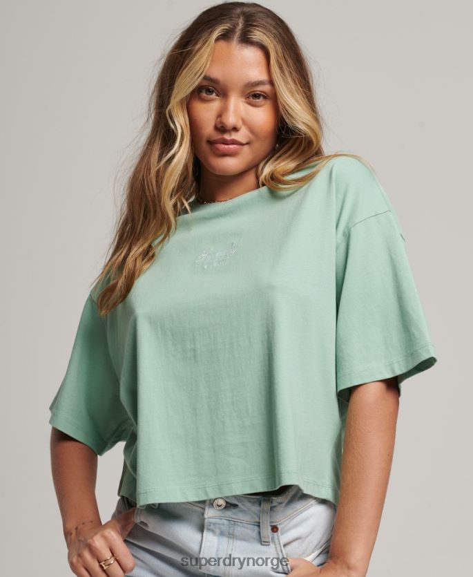 Superdry grønn klær 86P46D6201 Heritage brodert boxy t-skjorte kvinner