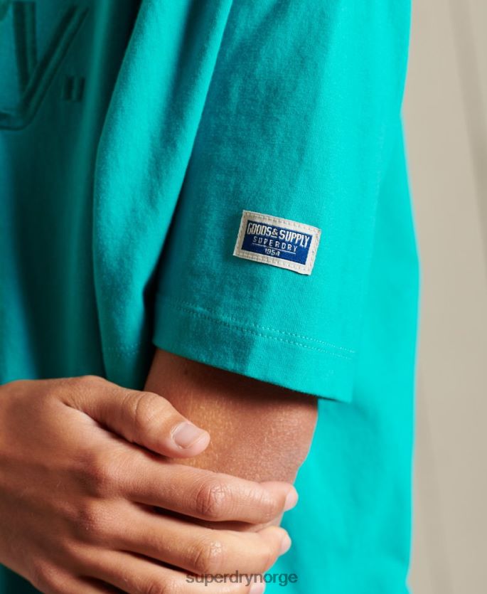 Superdry grønn klær 86P46D6303 core logo source t-skjorte kvinner