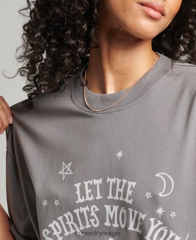 Superdry lysegrå klær 86P46D2740 vintage himmelsk t-skjorte kvinner