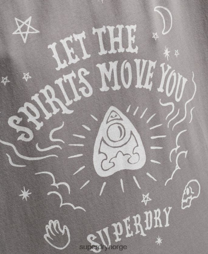 Superdry lysegrå klær 86P46D2740 vintage himmelsk t-skjorte kvinner