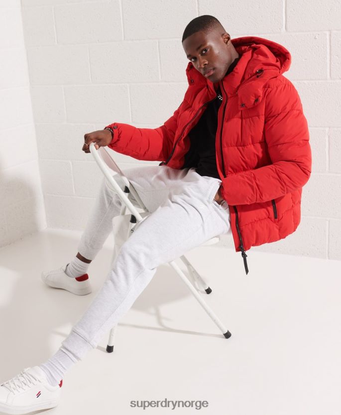 Superdry lysegrå klær 86P46D6407 essensielle joggebukser i økologisk bomull menn