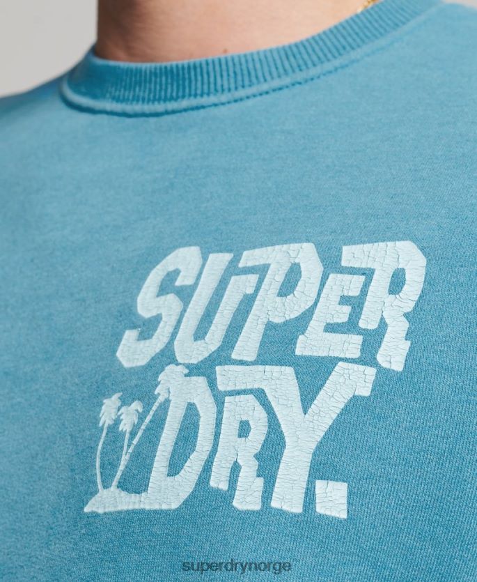 Superdry blå klær 86P46D589 reise klistremerke crew sweatshirt menn