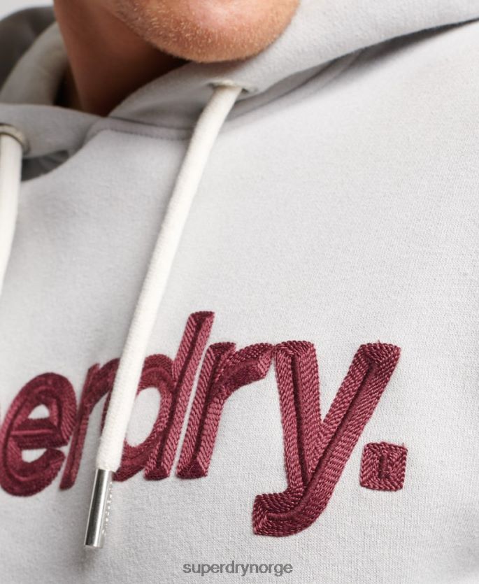 Superdry grå klær 86P46D531 klassisk hettegenser med vintage kjernelogo menn