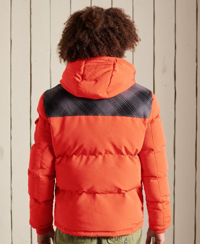 Superdry oransje klær 86P46D4487 vattert everest jakke menn