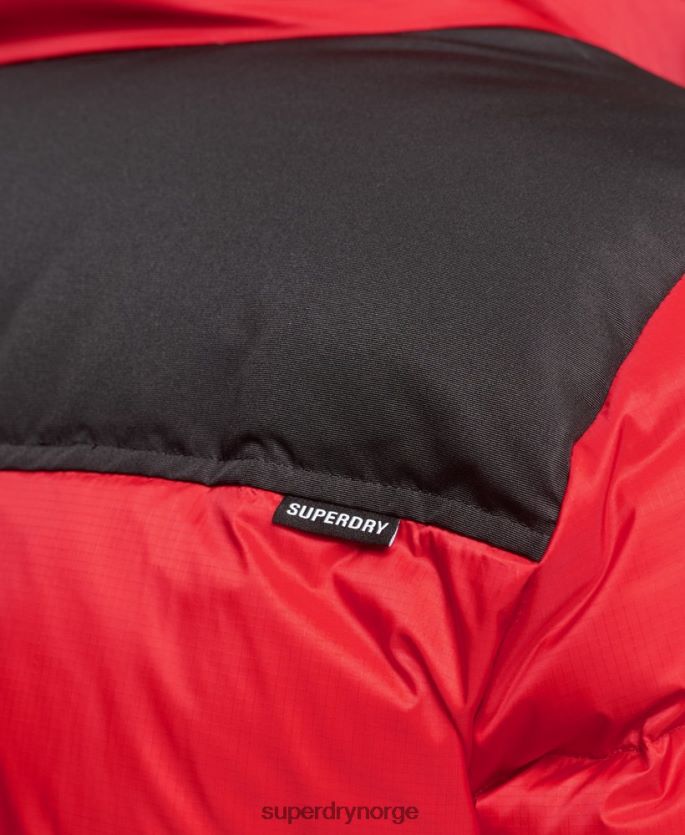 Superdry rød klær 86P46D4555 sportstyle kode dunjakke menn