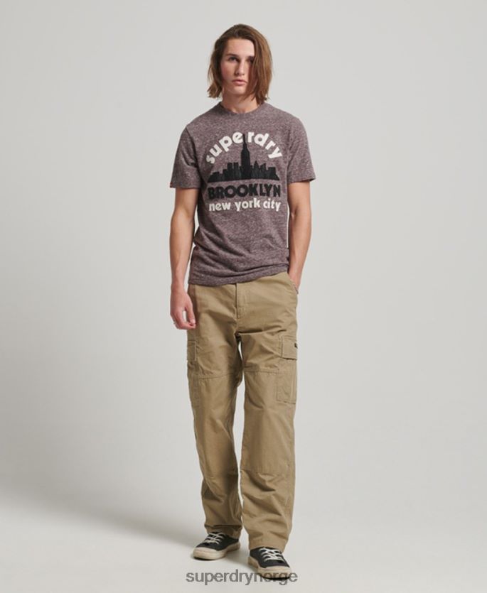 Superdry brun klær 86P46D116 flott utendørs applikert t-skjorte menn