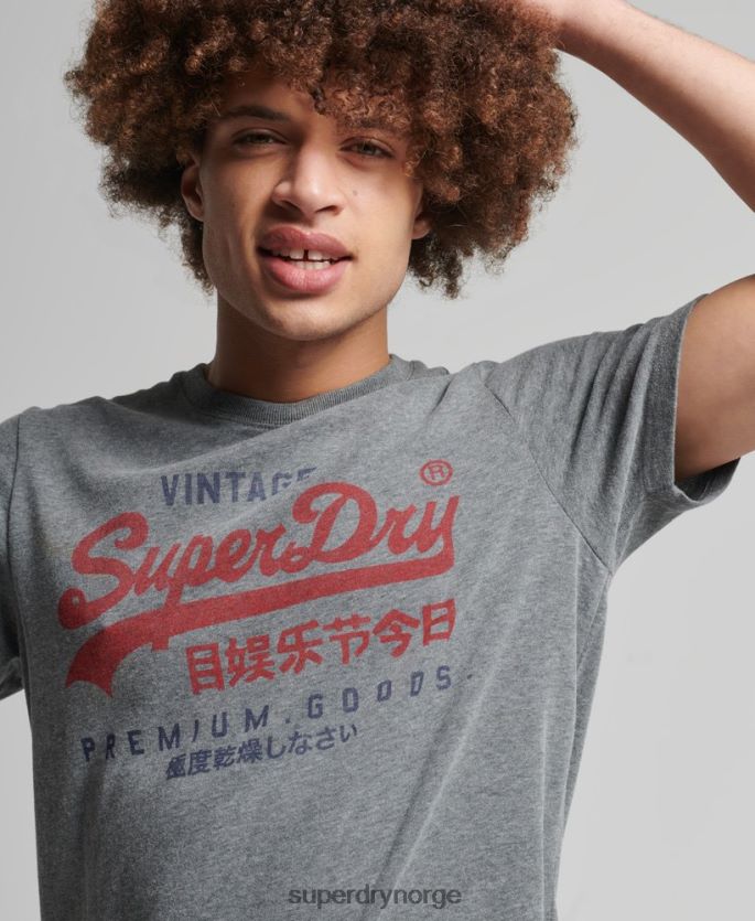 Superdry grå klær 86P46D4828 klassisk grafisk logo t-skjorte menn