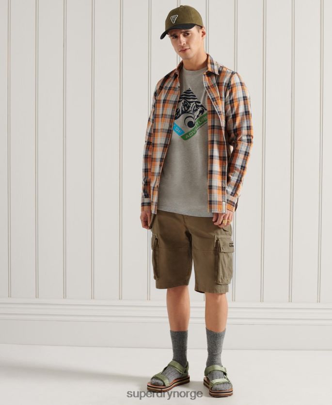 Superdry grå klær 86P46D4915 fjell grafisk t-skjorte med avslappet passform menn