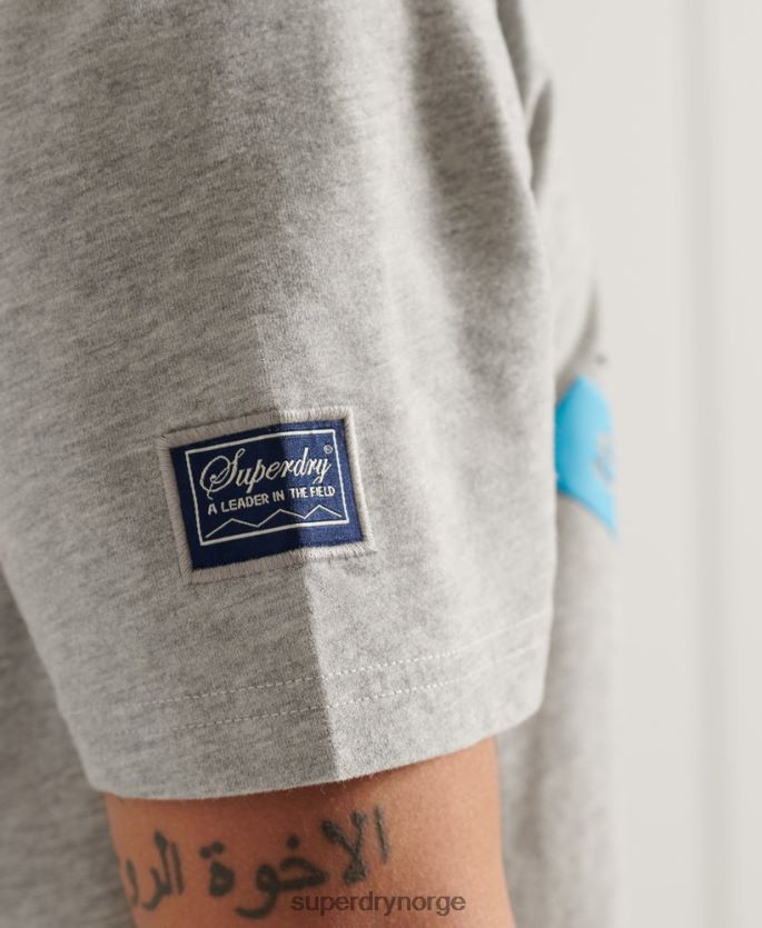 Superdry grå klær 86P46D4915 fjell grafisk t-skjorte med avslappet passform menn