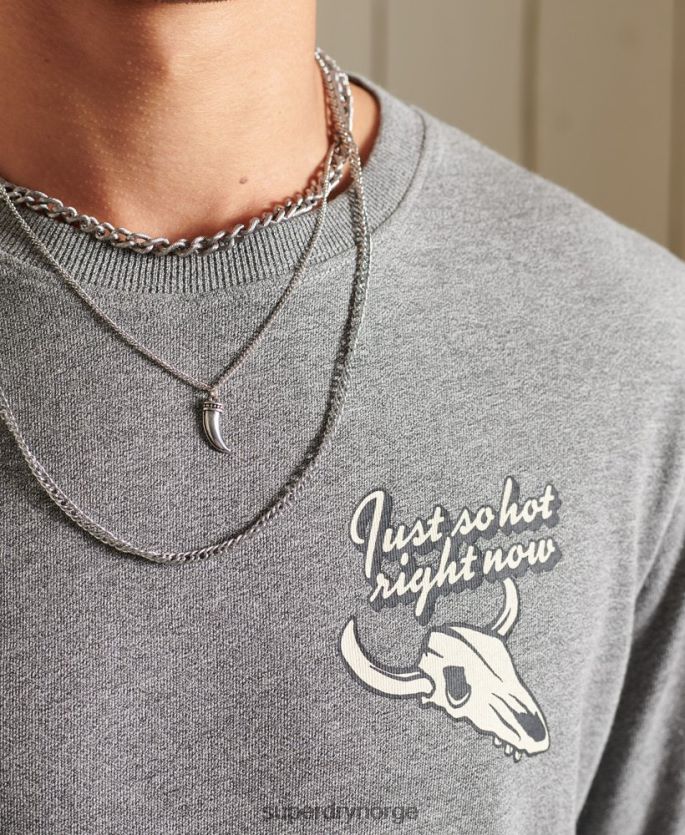 Superdry lysegrå klær 86P46D6470 Heritage mountain langermet topp menn