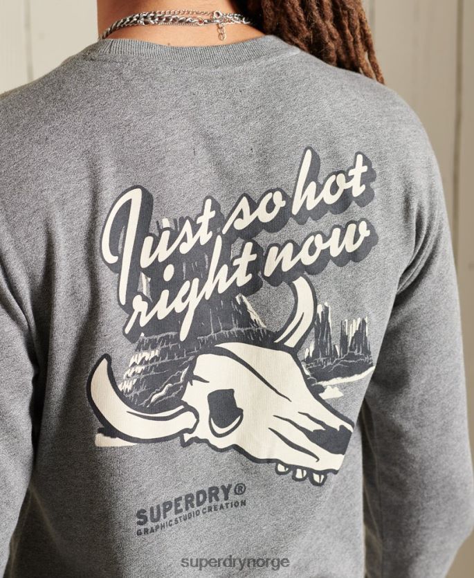 Superdry lysegrå klær 86P46D6470 Heritage mountain langermet topp menn