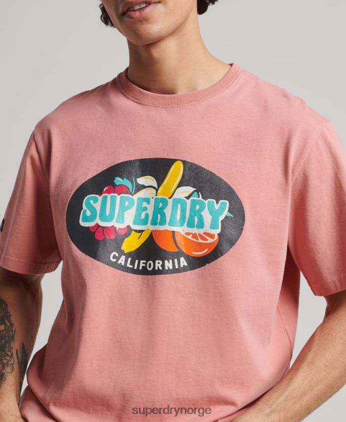 Superdry rosa klær 86P46D4854 vintage surfer ranchero t-skjorte menn