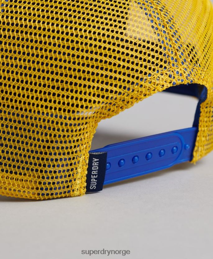 Superdry blå tilbehør 86P46D1669 vintage grafisk trucker cap menn